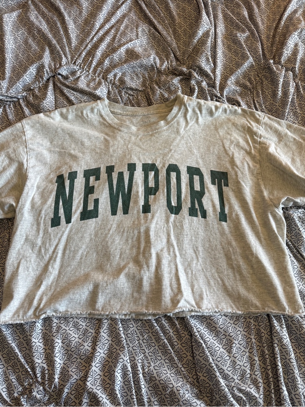 Brandy Melville Cropped T Shirt
